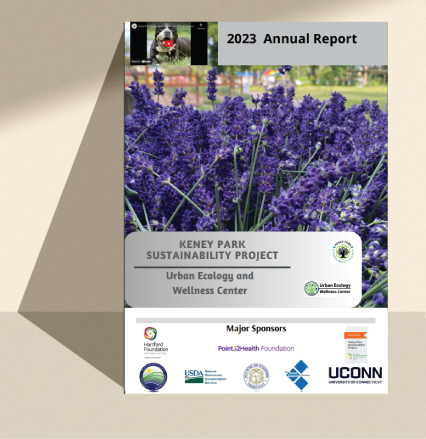 Annual-Report---2023